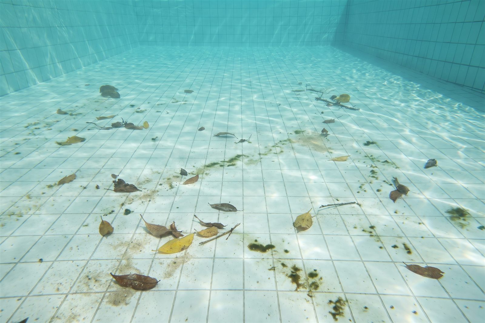 Fond de piscine avant le passage du robot